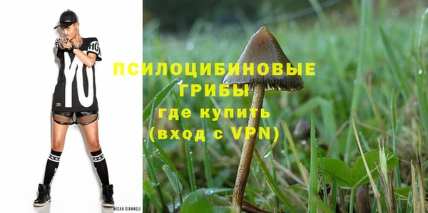 индика Абдулино