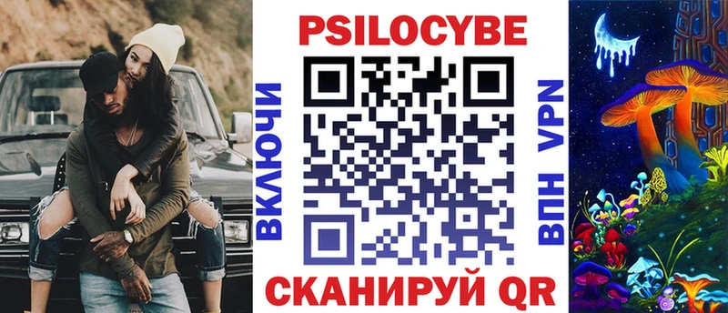 Псилоцибиновые грибы Psilocybe omg ссылки Цимлянск